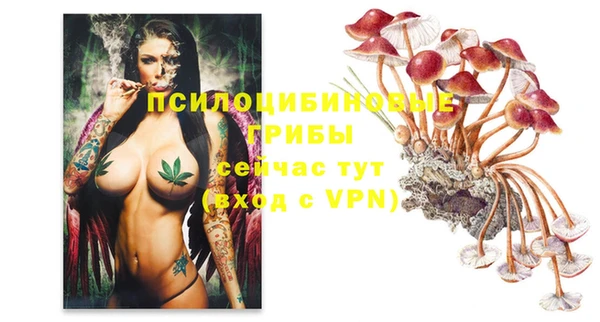 ALPHA-PVP Володарск