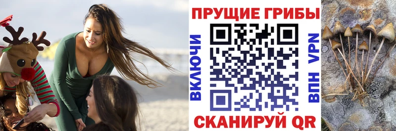 Псилоцибиновые грибы Psilocybine cubensis  продажа наркотиков  kraken зеркало  Кандалакша 